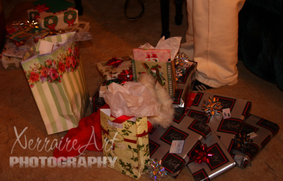 eve7 Laura's Pile