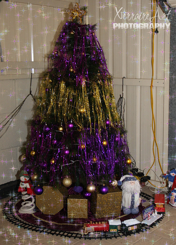 Georgie loves purple, so it wasn't unusual to me to see a purple tree. Me being the Ravens fan that I am, appreciated it even more!