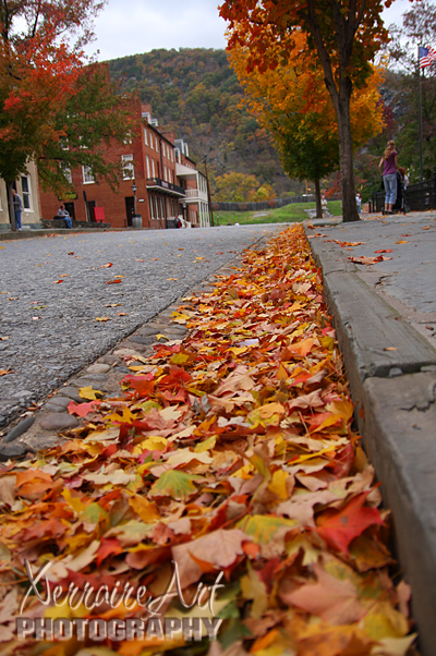 Some leaves had fallen already.