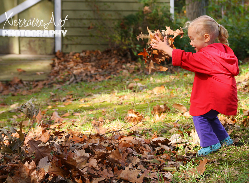 leaves3