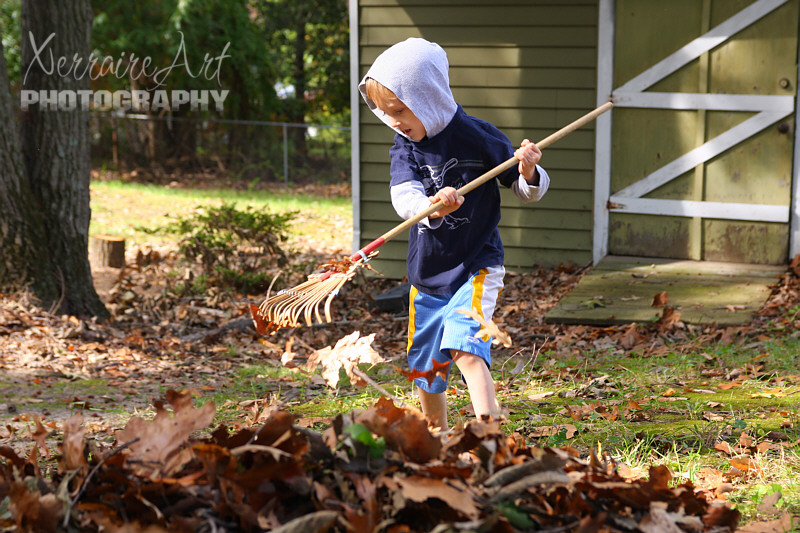 leaves4