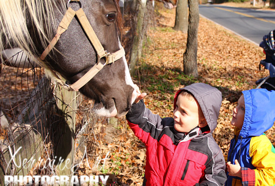 Then to the big horses!