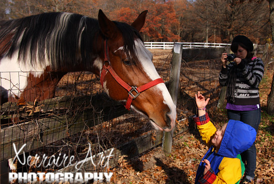 Laura gets a photo as Silas eagerly tries to pet the horse.