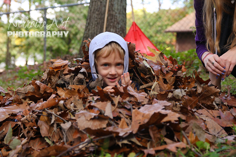 leaves8