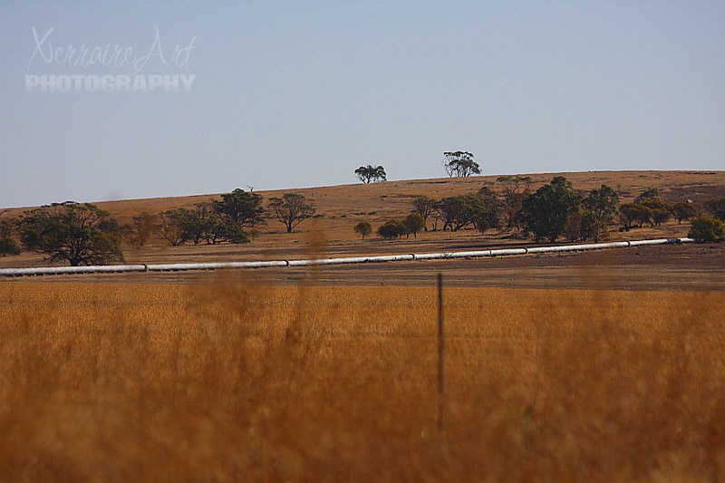 Towards the end of our loop, we were driving around and alongside the Water pipeline from Perth to Kalgoorlie.