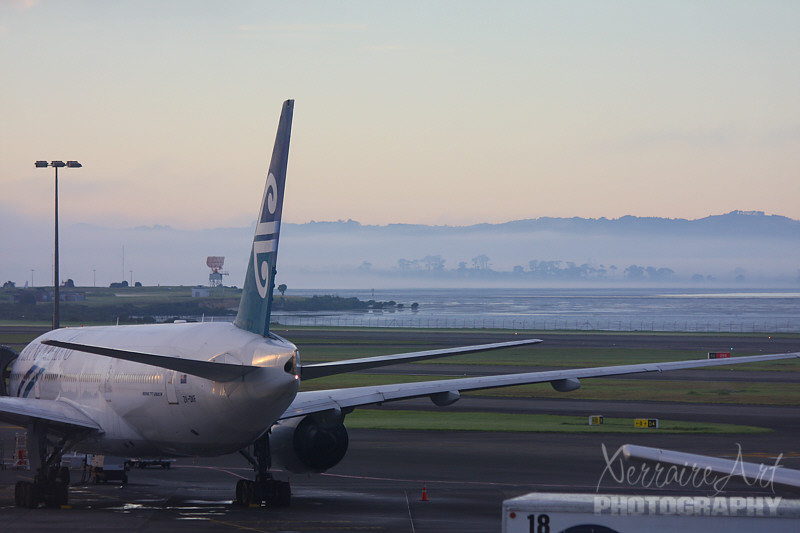 nz3