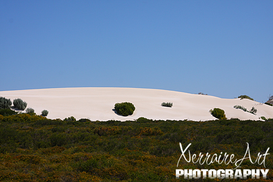 As we drove up the coast, we passed huge sand dunes that are typical of the area.
