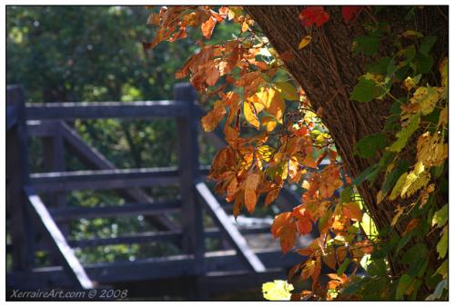 autumnleavesandbridge