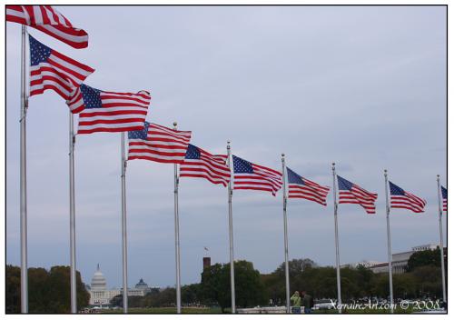 monumentflags_and_capitol