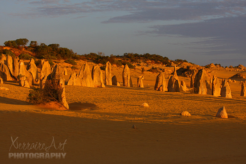 It’s a true desert landscape in Nambung National Park, where the weathered rock spires of the Pinnacles rise out of yellow sand dunes.