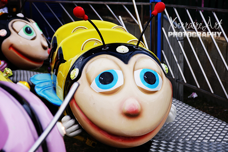 rides4