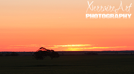 road15 Sunset