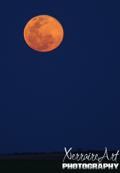 road19 A big and low moon