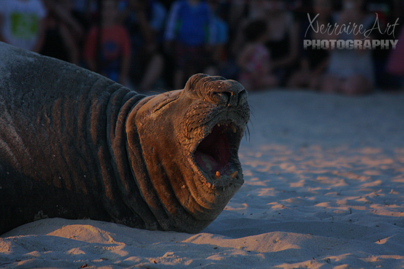 This one just seemed very tired. :)