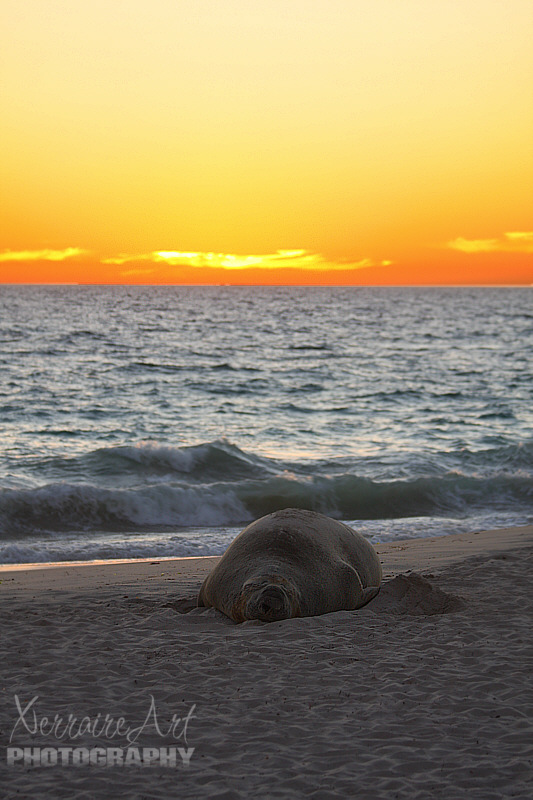We stayed til the sun went down.