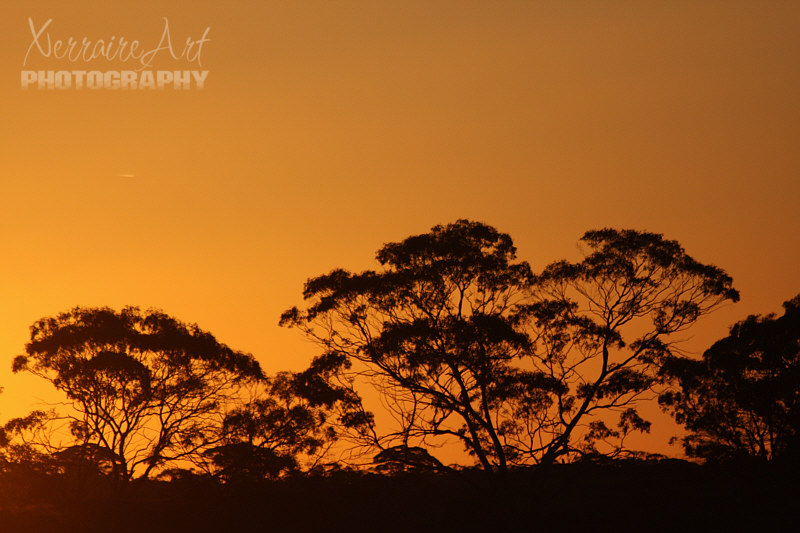 sundown2