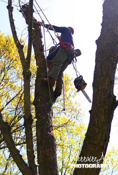 Chad and his chainsaw