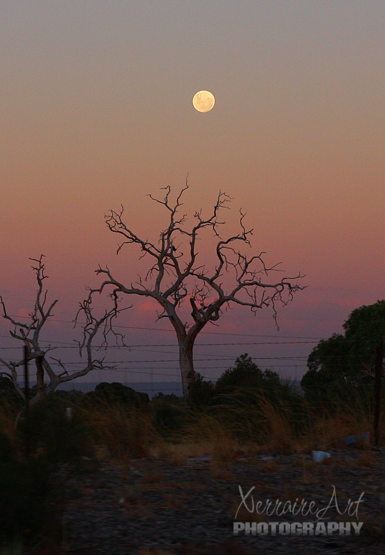 There was no fabulous sunset for our Valentines, so John took me on a ride to see a moon rise and some clouds.