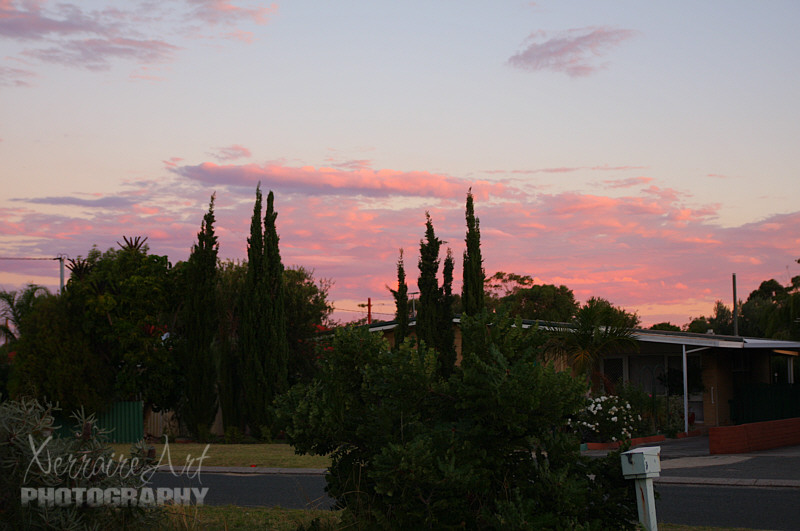 From the Verandah