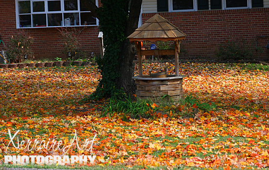 We noticed some leaves are already on the ground.