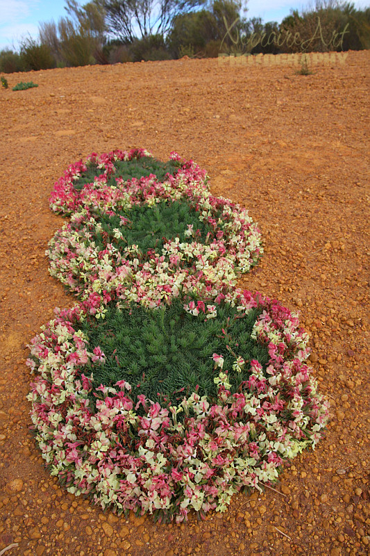 wreath6
