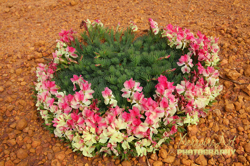 wreath8