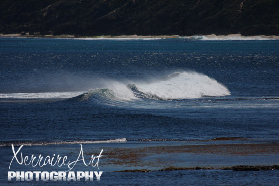 Loved the waves at Yallingup