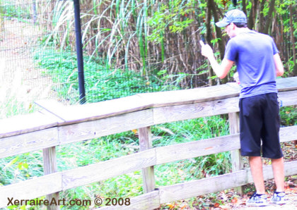 Miquel taking photos of the cheetah