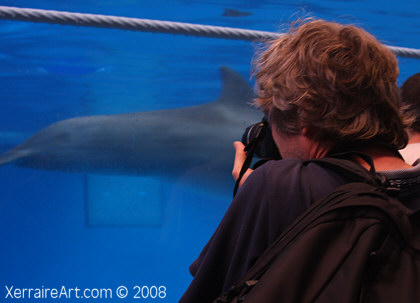 John taking photos of dolphins