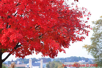 Autumn country