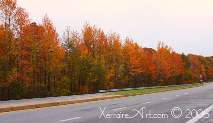 autumn leaves