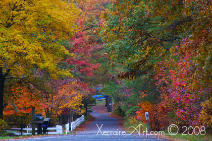 autumn leaves