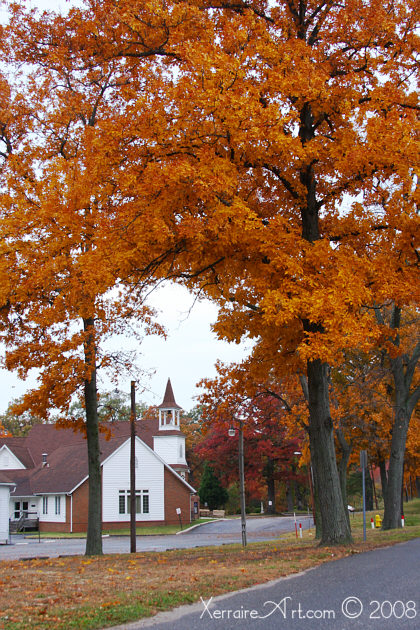 autumn leaves