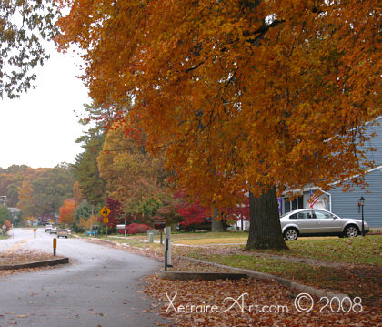 autumn leaves