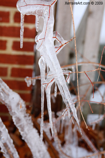 icicles