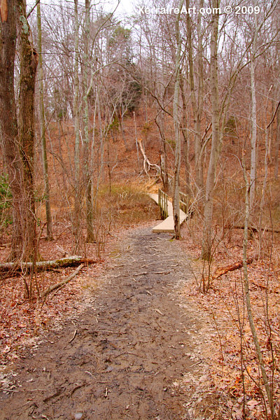 mud on the trail