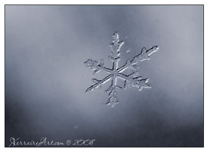 macro snowflake