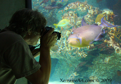 John with trigger fish