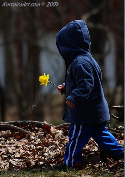 cameron and the daffodil