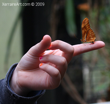butterfly on her finger