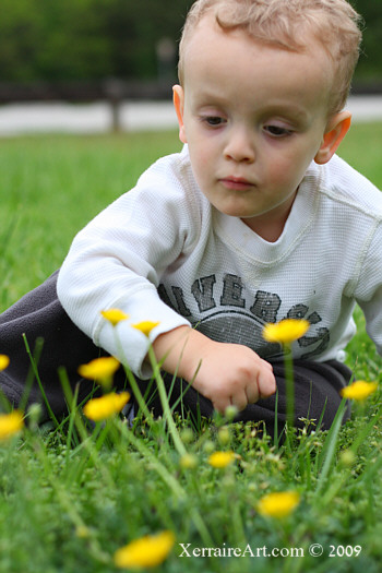 Buttercups