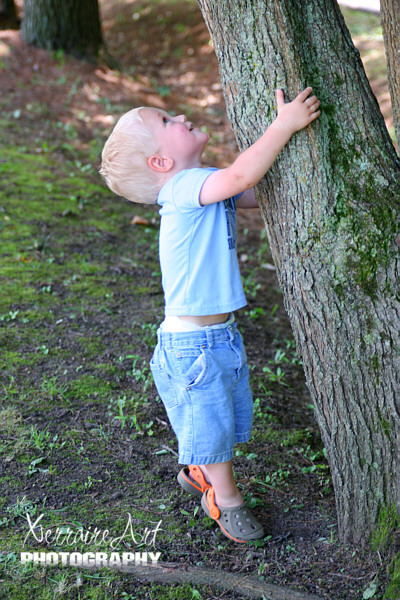 tree hugging