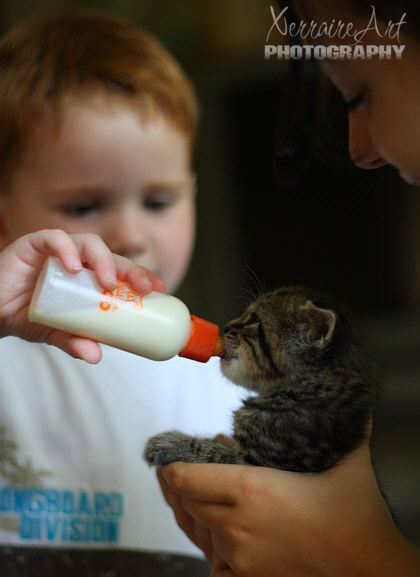 Kitty drinking the bottle
