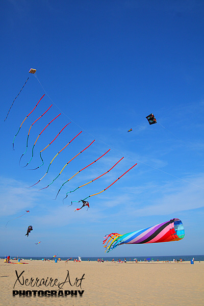 Kite Loft Kites